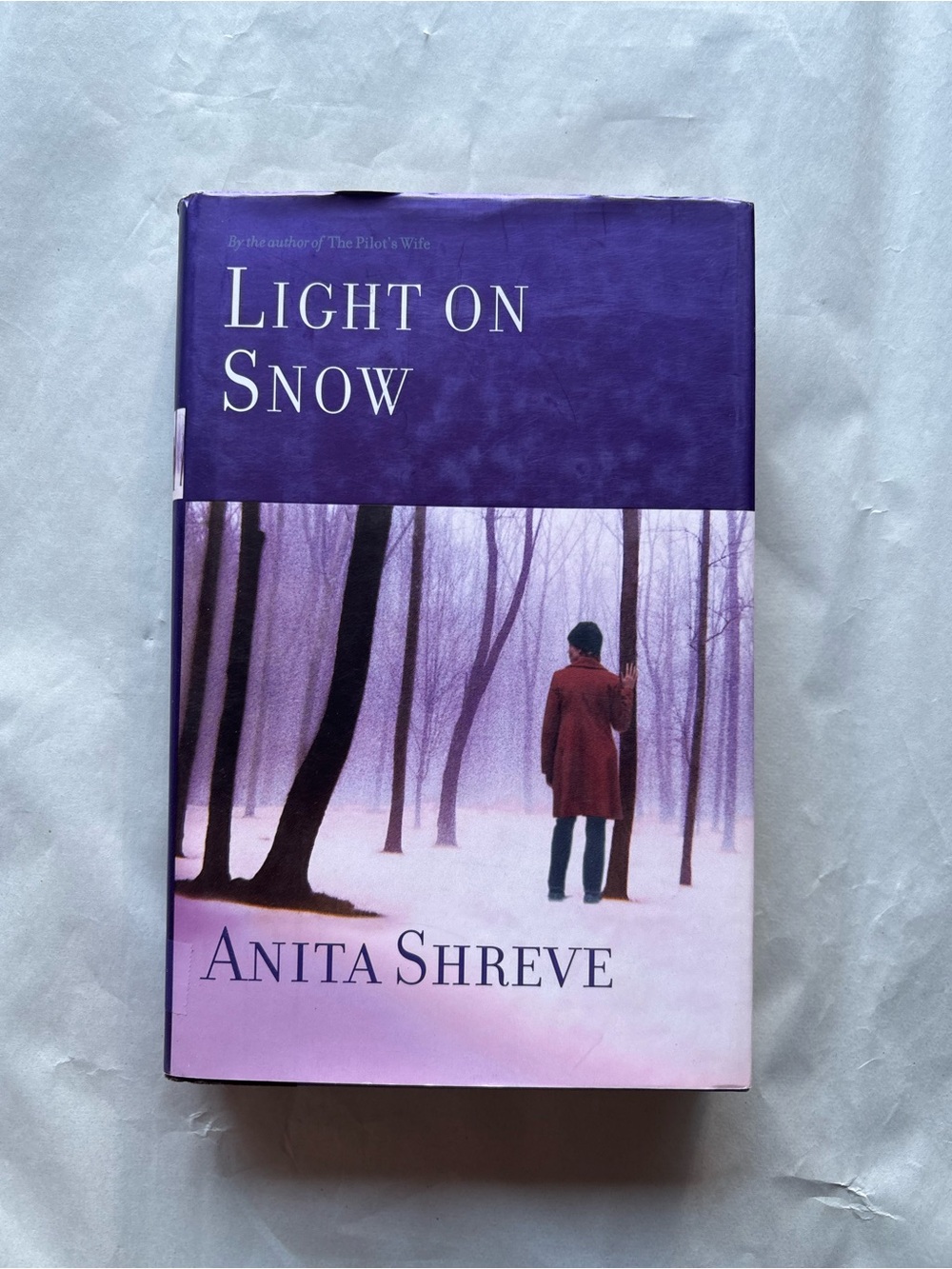 Light on Snow by Anita Shreve Hardcover Fiction Novel Dust Jacket 2004